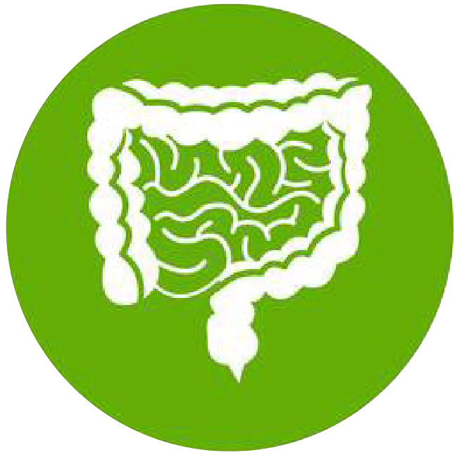 關(guān)注職場(chǎng)“腸”態(tài)，守護(hù)員工健康——上海格瑞特特邀消化內(nèi)科專家公益系列講座（4）(圖1)